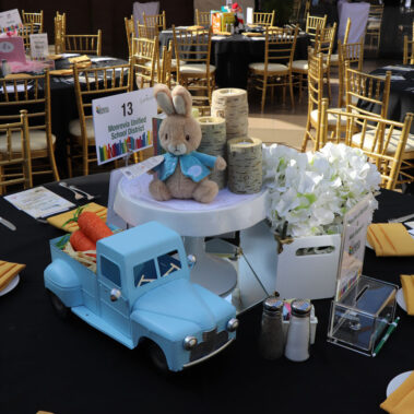 Peter Rabbit center piece decoration