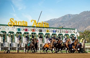 Horses come out of the starting gate.